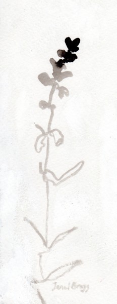 Картина под названием "Weed on Creekside L…" - Janel Bragg, Подлинное произведение искусства, Чернила