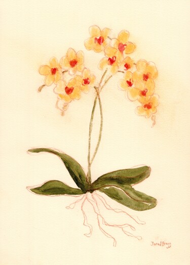 "Orchid from Susann'…" başlıklı Tablo Janel Bragg tarafından, Orijinal sanat, Suluboya