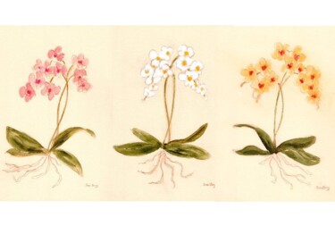 "Orchid from Susann'…" başlıklı Tablo Janel Bragg tarafından, Orijinal sanat, Suluboya