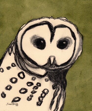 Peinture intitulée "Owl on Mom's Porch" par Janel Bragg, Œuvre d'art originale, Aquarelle