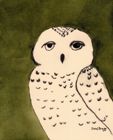 Pintura titulada "Owl on Evergreen Ba…" por Janel Bragg, Obra de arte original, Acuarela