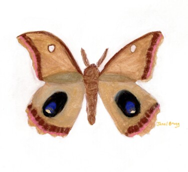 Painting titled "Moth Endearment II" by Janel Bragg, Original Artwork, Watercolor