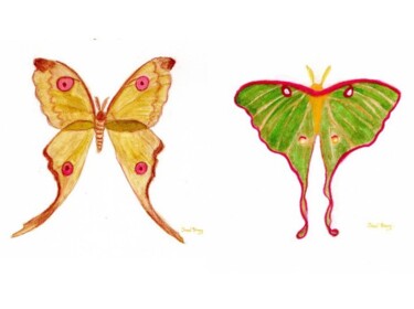 제목이 "Moth Endearment Pai…"인 미술작품 Janel Bragg로, 원작, 수채화