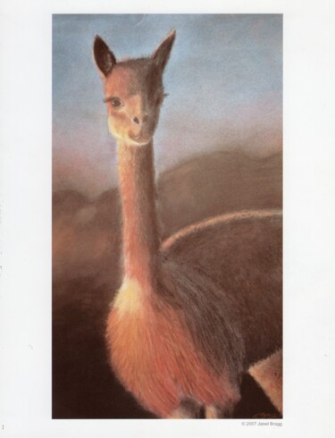 Malerei mit dem Titel "Llama I drew in hig…" von Janel Bragg, Original-Kunstwerk, Aquarell