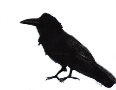 Ζωγραφική με τίτλο "Raven at Baker Beac…" από Janel Bragg, Αυθεντικά έργα τέχνης, Κάρβουνο