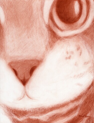 Malerei mit dem Titel "Annabelle's Close-Up" von Janel Bragg, Original-Kunstwerk, Bleistift