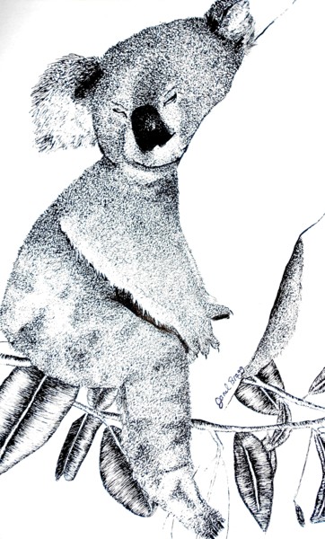 Drawing titled "Sleeping Koala" by Janel Bragg, Original Artwork, Ink