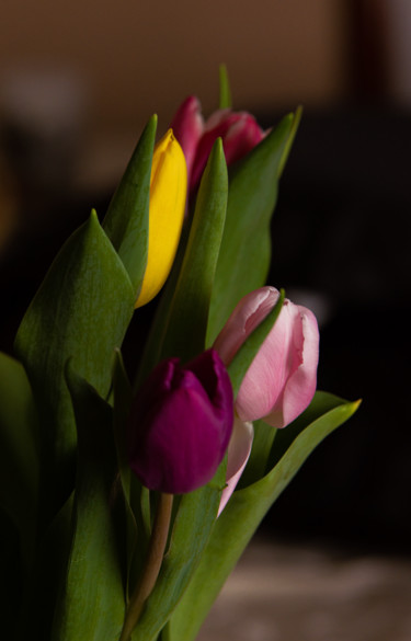 Photography titled "Tulips" by Jan Hrad, Original Artwork, Digital Photography