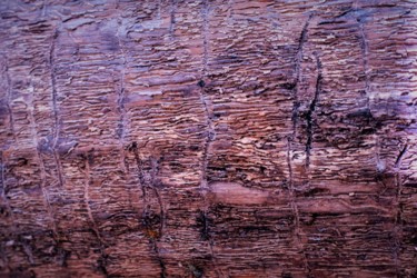 Comme un dessin. Photographie intitulée "Comme un dessin." par Janie B., Œuvre d'art originale, Photographie numérique