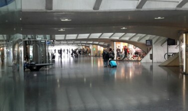 Photographie intitulée "Gare des Guillemins…" par Janie B., Œuvre d'art originale