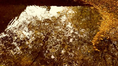 Photographie intitulée "Près du ruisseau/…" par Janie B., Œuvre d'art originale