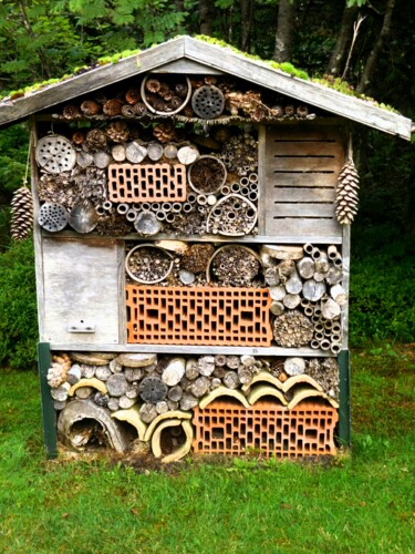 Fotografie getiteld "Maison des insectes…" door Janie B., Origineel Kunstwerk