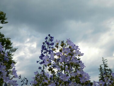 Photographie intitulée "De toute beauté !…" par Janie B., Œuvre d'art originale