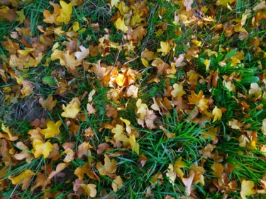 Photographie intitulée "Tableau automne/1.…" par Janie B., Œuvre d'art originale