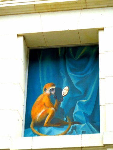 Фотография под названием "Le singe et le miro…" - Janie B., Подлинное произведение искусства
