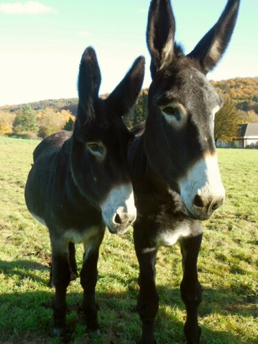 Photography titled "Les deux copines.…" by Janie B., Original Artwork