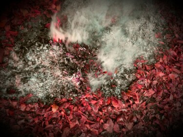 Photography titled "Le feu/ 2.      stu…" by Janie B., Original Artwork, Digital Photography