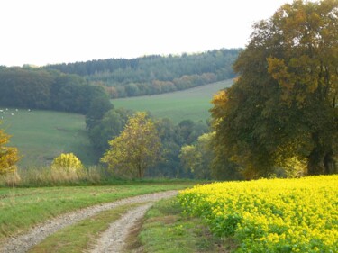 Photography titled "Le petit chemin.…" by Janie B., Original Artwork