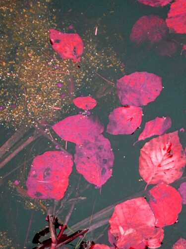 Arts numériques intitulée "Les feuilles rouges…" par Janie B., Œuvre d'art originale