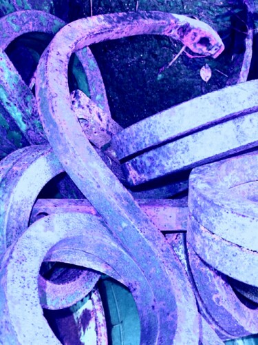 Photographie intitulée "Serpent bleu.…" par Janie B., Œuvre d'art originale, Photographie numérique