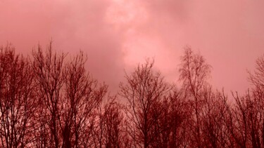 Photography titled "Ciel rosé en hiver.…" by Janie B., Original Artwork, Digital Photography