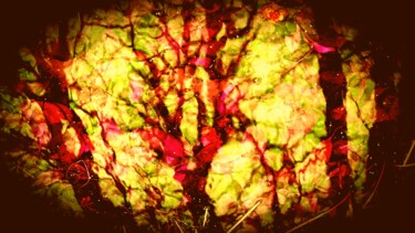 Photographie intitulée "Fantaisie végétale.…" par Janie B., Œuvre d'art originale, Photographie numérique