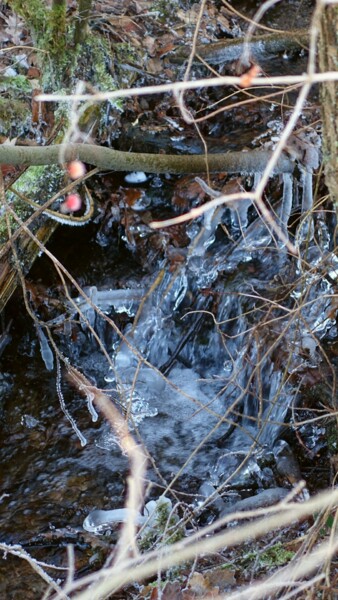 Photographie intitulée "Ruisseau hivernal.…" par Janie B., Œuvre d'art originale