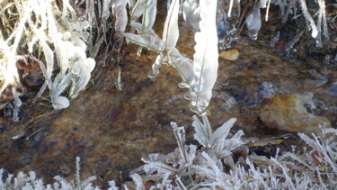 Photographie intitulée "Ruisseau hivernal/2…" par Janie B., Œuvre d'art originale