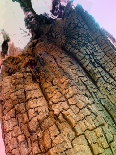 Photography titled "Au coeur de l'arbre…" by Janie B., Original Artwork, Digital Photography