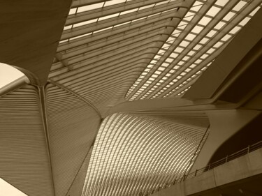 Photography titled "Gare Calatrava de L…" by Janie B., Original Artwork