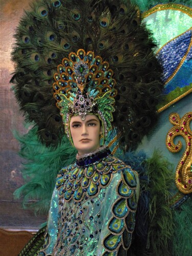 Fotografia intitolato "Costumes Carnaval R…" da Janie B., Opera d'arte originale, Fotografia digitale