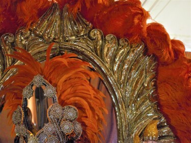 Fotografia intitulada "Costume Carnaval Ri…" por Janie B., Obras de arte originais, Fotografia digital