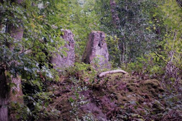 Photographie intitulée "Les deux gardiens d…" par Janie B., Œuvre d'art originale, Photographie numérique