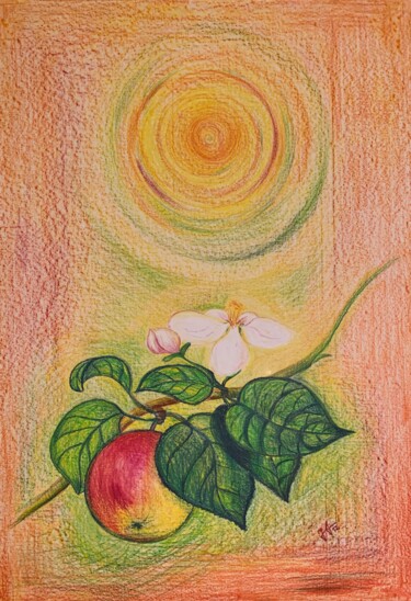 Painting titled "Apples" by Mgr. Janka Anděl Šustrová, Original Artwork, Pastel