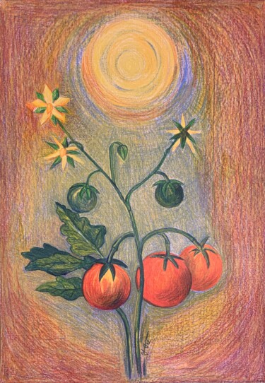 Painting titled "Tomatoes" by Mgr. Janka Anděl Šustrová, Original Artwork, Pastel