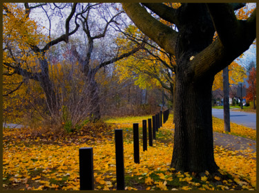 Photography titled "Fall landscape" by Janos Gardonyi, Original Artwork, Digital Photography