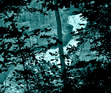 Photography titled "FOREST WATERFALL" by Janos Gardonyi, Original Artwork