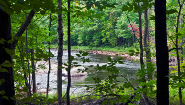 Photography titled "BY THE BROOK" by Janos Gardonyi, Original Artwork