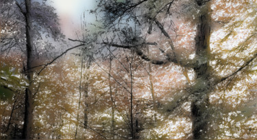Photography titled "CRYSTALLINE FOREST" by Janos Gardonyi, Original Artwork