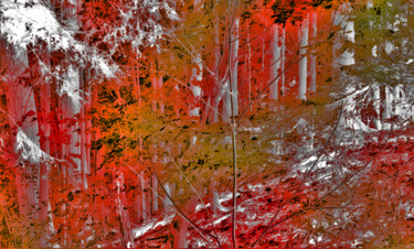 Photography titled "DIGITAL FOREST - RE…" by Janos Gardonyi, Original Artwork, Digital Photography