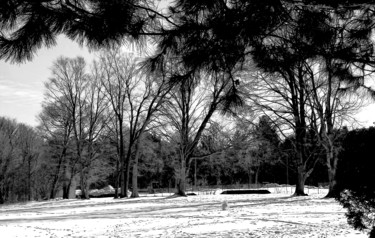 Photography titled "A GRAND WINTER LAND…" by Janos Gardonyi, Original Artwork