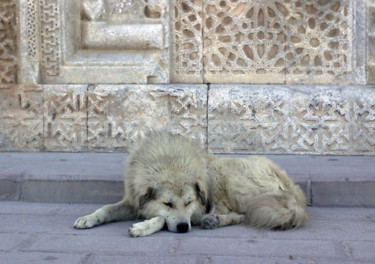 Photography titled "SLEEPING DOG BY THE…" by Janos Gardonyi, Original Artwork, Digital Photography