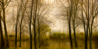 Digital Arts titled "HUMBER DELTA" by Janos Gardonyi, Original Artwork, Digital Painting