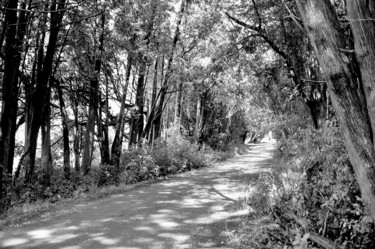 Photography titled "the overgrown path" by Janos Gardonyi, Original Artwork