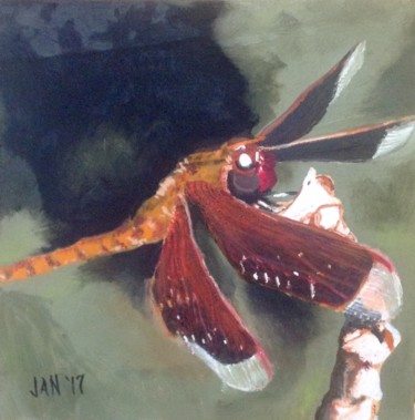 Painting titled "Red Dragonfly" by Jan Wall, Original Artwork, Oil