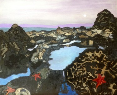 Pintura titulada "Tide pools at Chimn…" por Jan Wall, Obra de arte original, Oleo