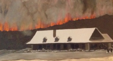 Malarstwo zatytułowany „2011: Wildfire in T…” autorstwa Jan Wall, Oryginalna praca, Olej Zamontowany na Drewniana rama noszy