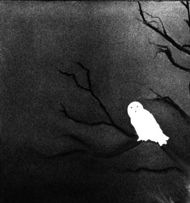Malerei mit dem Titel "Snowy Owl" von Jan Wall, Original-Kunstwerk, Öl