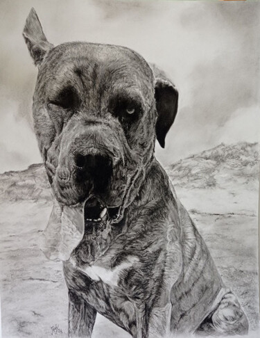 Drawing titled "Chouchen" by Jany.M, Original Artwork, Charcoal