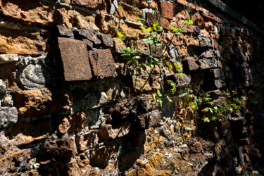 Fotografia zatytułowany „Brick wall study 2” autorstwa Jarek Rufer, Oryginalna praca, Fotografia cyfrowa